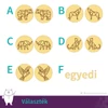 Kép 2/4 - Választható minták